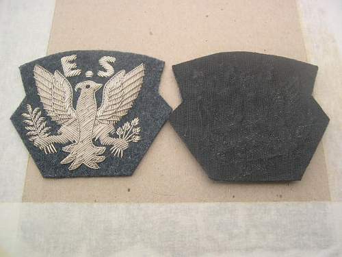 Help with this eagle squadron patch