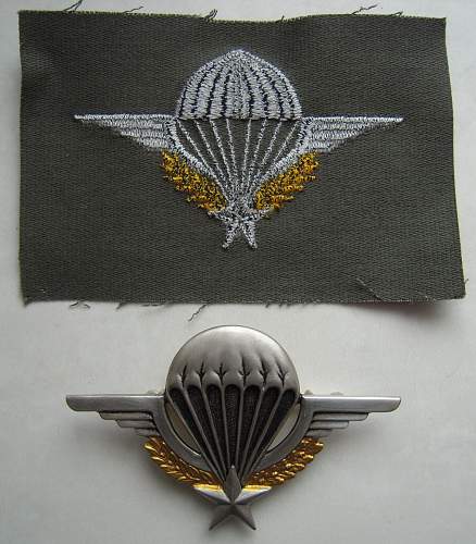 Brevet de parachutiste militaire (BPM) France