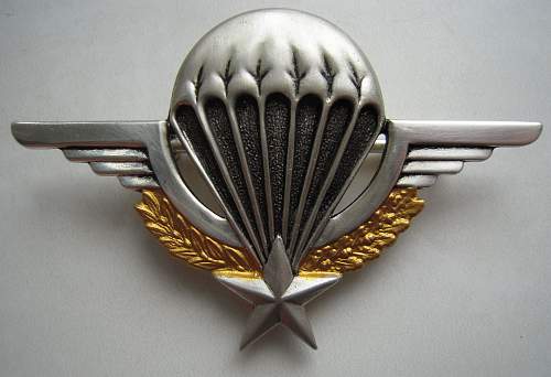 Brevet de parachutiste militaire (BPM) France