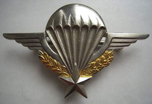 Brevet de parachutiste militaire (BPM) France