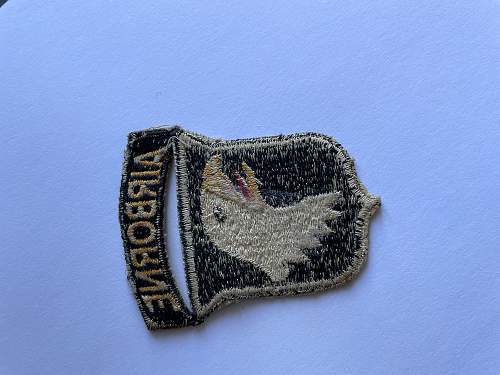 Need help authenticating 101st airborne patches