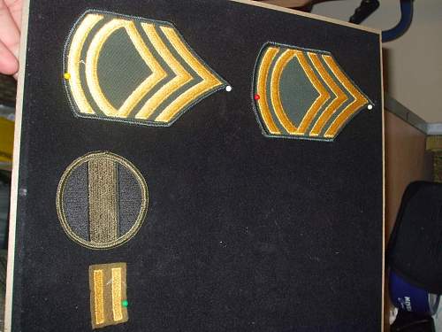 Screaming Eagles Insignia, please help