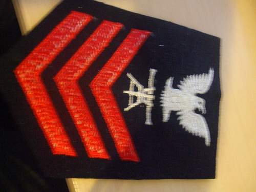 Screaming Eagles Insignia, please help