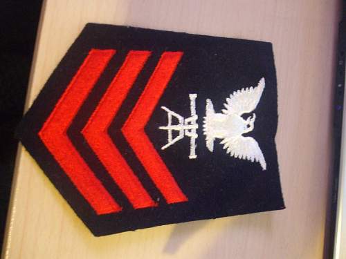 Screaming Eagles Insignia, please help