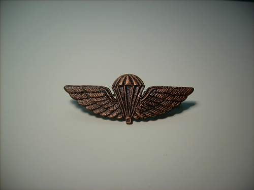 ID Two airborne badges, please?
