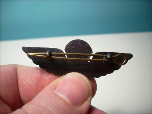 ID Two airborne badges, please?