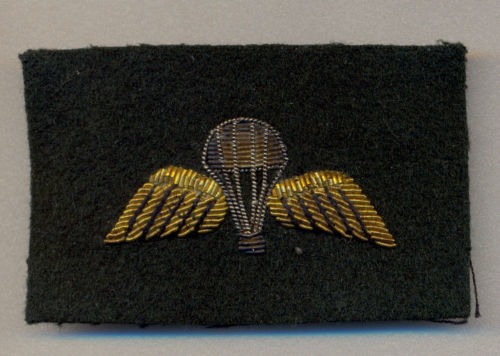 Bullion para wings