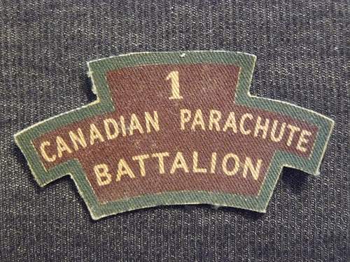 With British and Canadian Para Badges