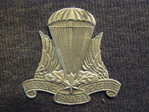 With British and Canadian Para Badges