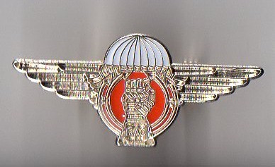 Prototype Airborne Armoured Recce cap badge