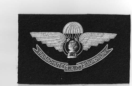 Prototype Airborne Armoured Recce cap badge
