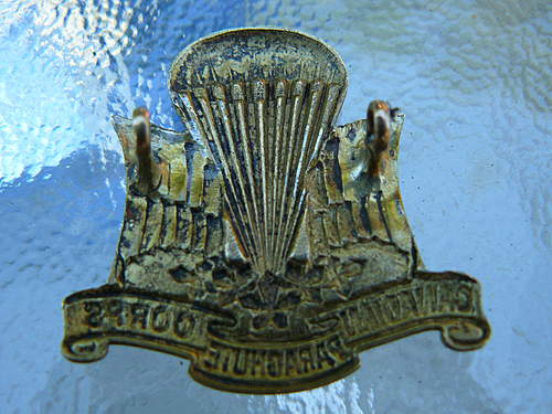 1st Canadian Parachute Corps Cap Badge good ?