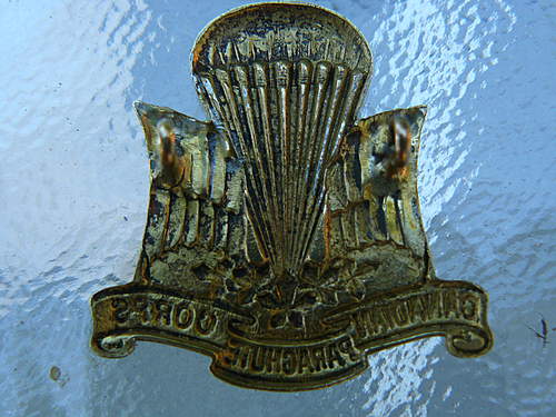 1st Canadian Parachute Corps Cap Badge good ?