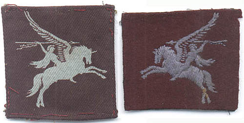 Canvas Parachute Corps Pegasus/Airborne insignia