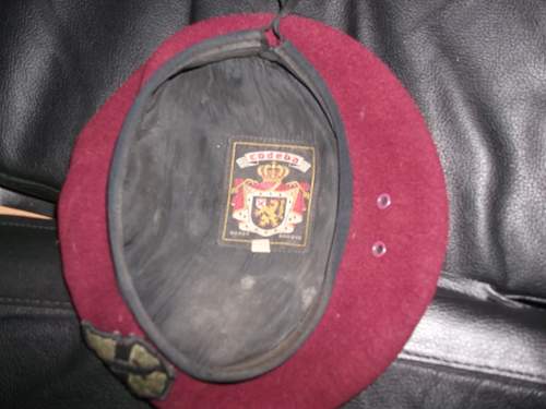 1st Field Force Vietnam Maroon Beret