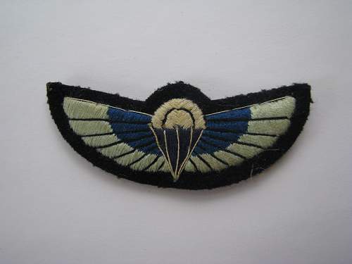 SAS wings