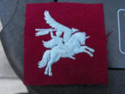 Hi opinions please on Pegasus airborne patch