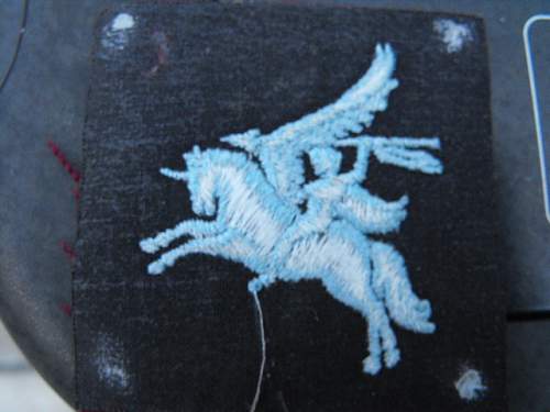 Hi opinions please on Pegasus airborne patch