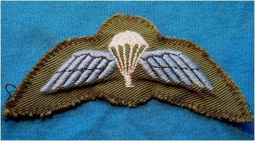Rhodesian Light Infantry Para Wings.