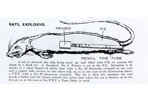 WW2 SOE Exploding Rat