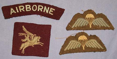 Latest find ! Airborne cloth badges