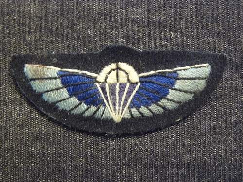 SAS wings