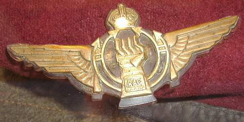 Prototype Airborne Armoured Recce cap badge