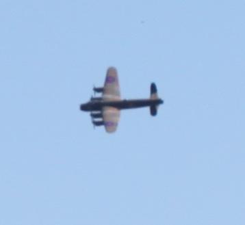 Look what flew over my house today