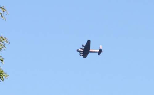 Look what flew over my house today