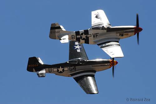 P51-D Mustang