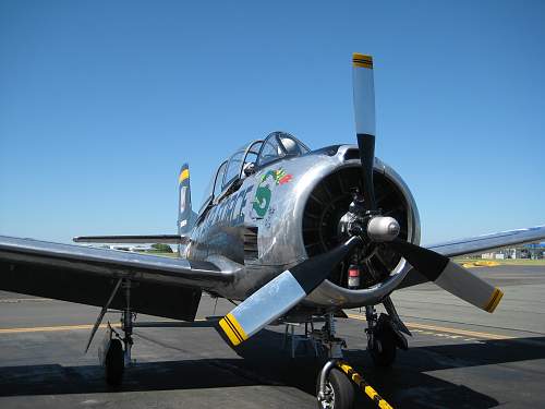 T-26 Trojan joy flight