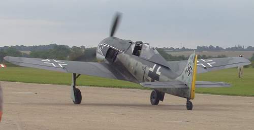 Butcher Bird: FW190