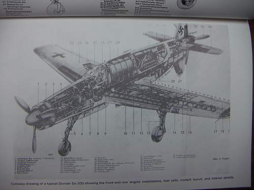 Dornier Do 335 &quot;The Beast&quot;