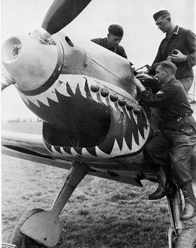 'Sharks teeth' Lancaster