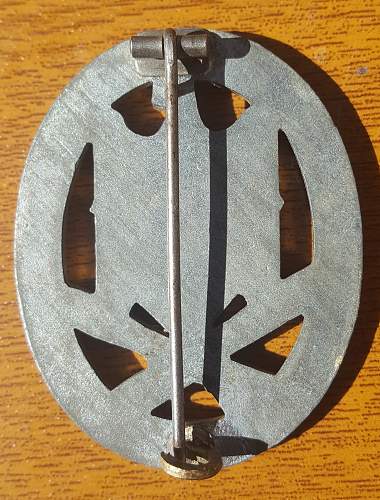 Pictures of my Allgemeines Sturmabzeichen, General Assault Badge