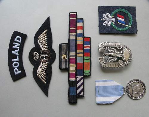 Polisboy's polish air force collection