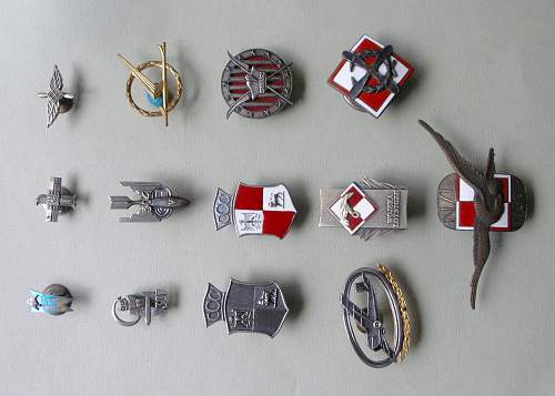 Polisboy's polish air force collection