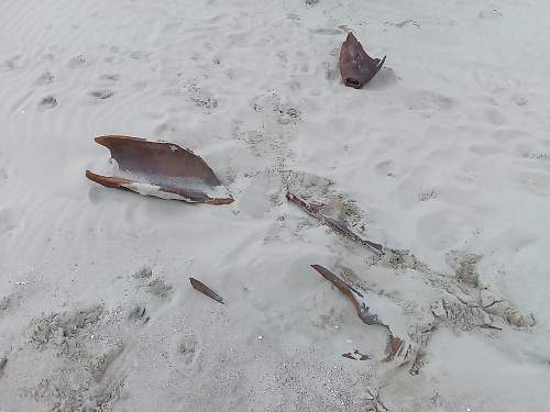 on a north sea beach