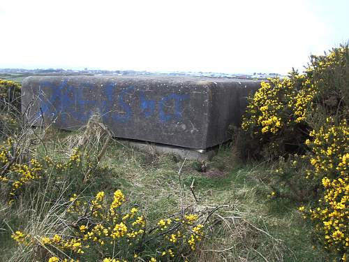 unusual vehicle relics found near newly discovered pillbox bunker + other stuff