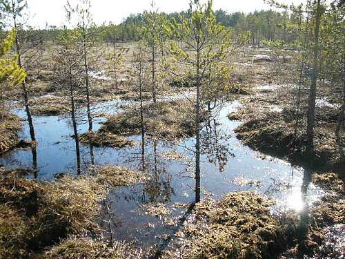 DB-3 bomber, recovered in Karelia 2006 year