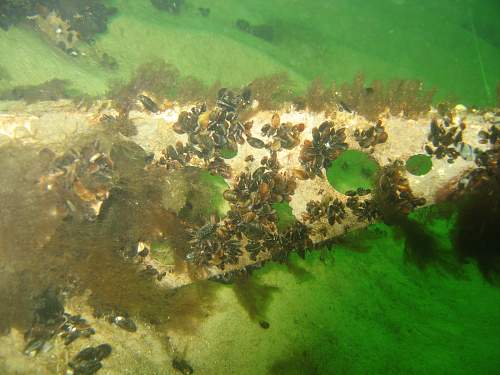 Crash site Baltic sea