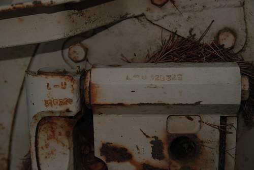 found an antiaircraft gun and metal ammo boxes in a forest....