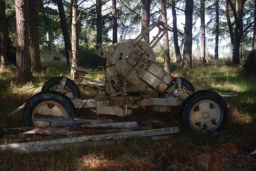 found an antiaircraft gun and metal ammo boxes in a forest....