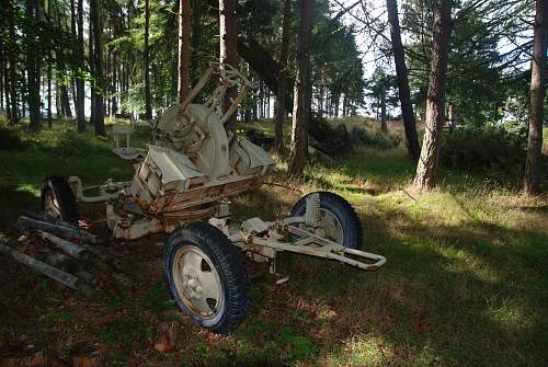 found an antiaircraft gun and metal ammo boxes in a forest....