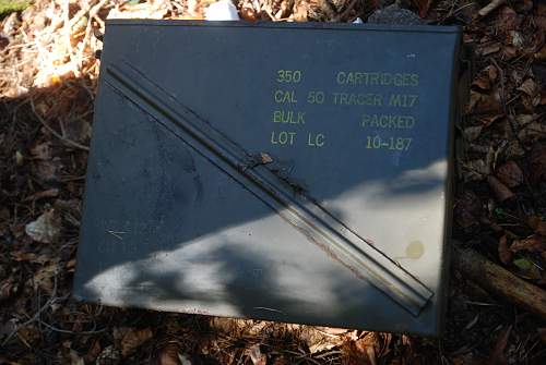 found an antiaircraft gun and metal ammo boxes in a forest....