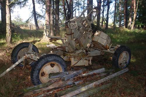 found an antiaircraft gun and metal ammo boxes in a forest....