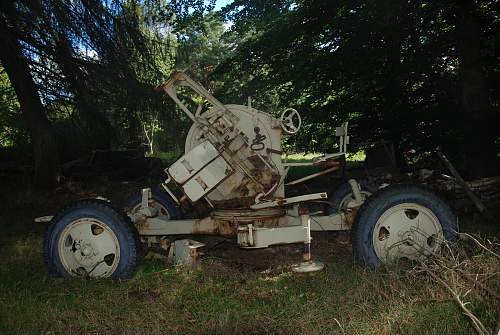 found an antiaircraft gun and metal ammo boxes in a forest....