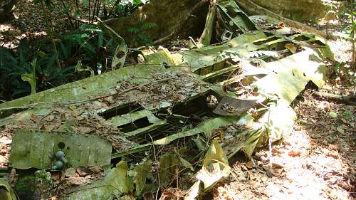 B-17E Bomber Crash Site, Santo, Vanuatu.