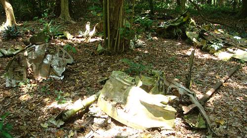 B-17E Bomber Crash Site, Santo, Vanuatu.