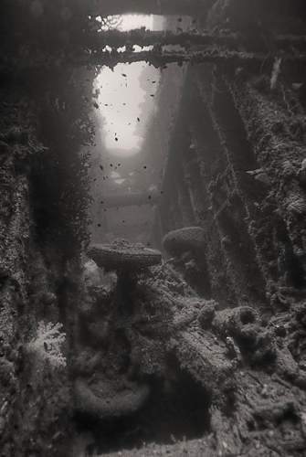 WWII relics dive. Tanks, Jeeps, Trucks.